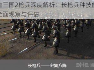 啪啪三国2枪兵深度解析：长枪兵种技能效果全面观察与评估