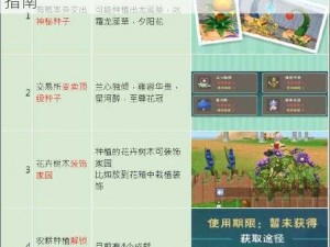 创造与魔法：耕地叠加种植技术探索与实践指南