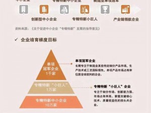 暗索专精三大力度揭秘：深度探讨其内涵与实践应用