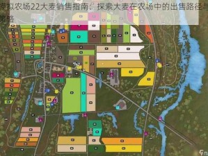 模拟农场22大麦销售指南：探索大麦在农场中的出售路径与策略