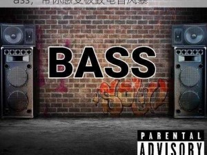 remix撕裂bass_震撼来袭remix 撕裂 bass，带你感受极致电音风暴