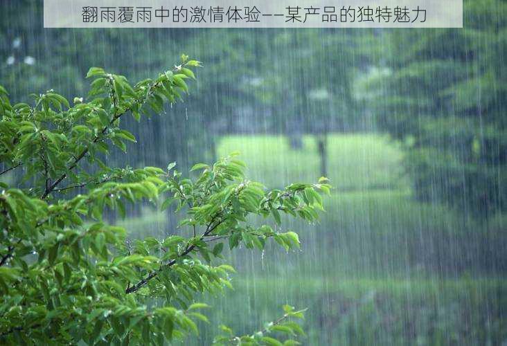 翻雨覆雨中的激情体验——某产品的独特魅力