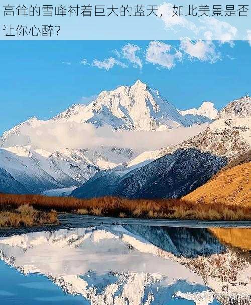 高耸的雪峰衬着巨大的蓝天,如此美景是否让你心醉?