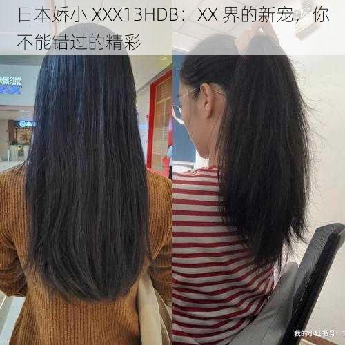 日本娇小 XXX13HDB：XX 界的新宠，你不能错过的精彩