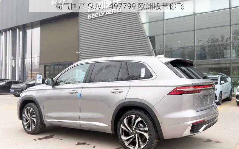 霸气国产 SUV，497799 欧洲版带你飞