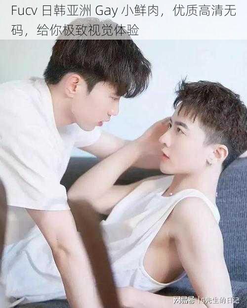 Fucv 日韩亚洲 Gay 小鲜肉，优质高清无码，给你极致视觉体验