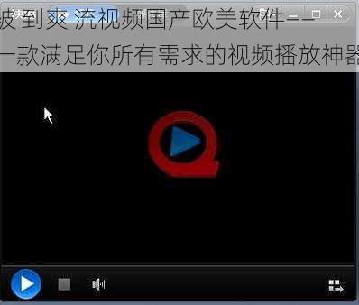 被 到爽 流视频国产欧美软件——一款满足你所有需求的视频播放神器