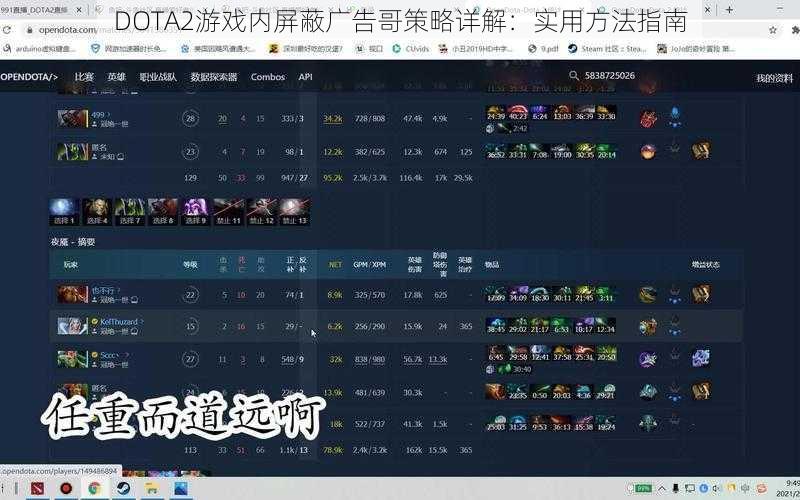 DOTA2游戏内屏蔽广告哥策略详解：实用方法指南