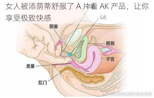 女人被添荫蒂舒服了 A 片看 AK 产品，让你享受极致快感