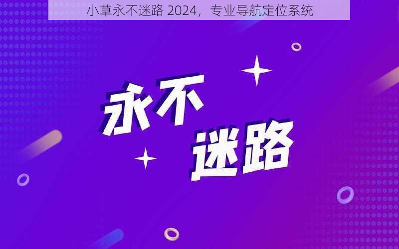 小草永不迷路 2024，专业导航定位系统