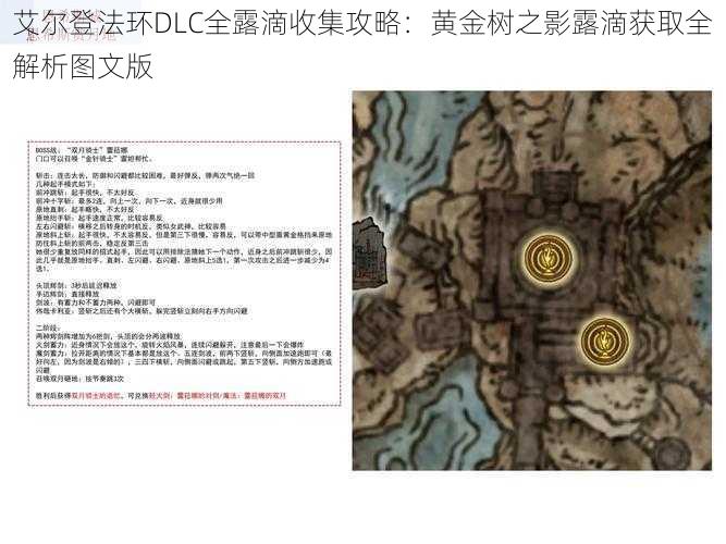 艾尔登法环DLC全露滴收集攻略：黄金树之影露滴获取全解析图文版