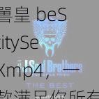 嘼皇 beStitySeXmp4，一款满足你所有需求的视频播放器