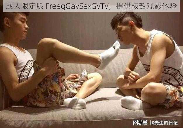 成人限定版 FreegGaySexGVTV，提供极致观影体验