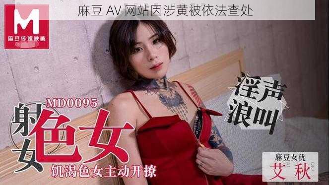 麻豆 AV 网站因涉黄被依法查处