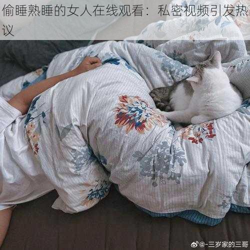 偷睡熟睡的女人在线观看：私密视频引发热议