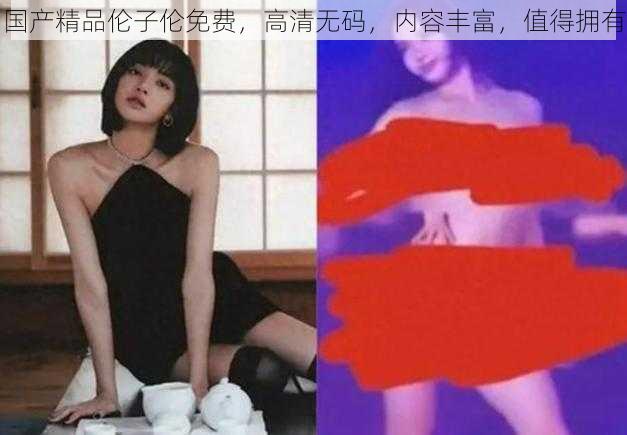 国产精品伦子伦免费，高清无码，内容丰富，值得拥有