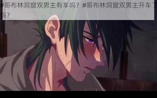 #哥布林洞窟双男主有车吗？#哥布林洞窟双男主开车了吗？