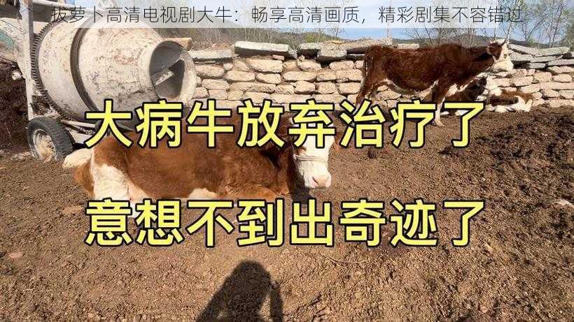 拔萝卜高清电视剧大牛：畅享高清画质，精彩剧集不容错过