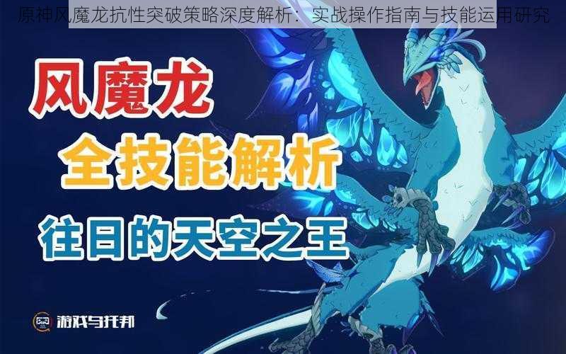 原神风魔龙抗性突破策略深度解析：实战操作指南与技能运用研究