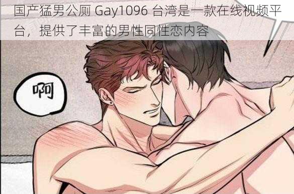 国产猛男公厕 Gay1096 台湾是一款在线视频平台，提供了丰富的男性同性恋内容