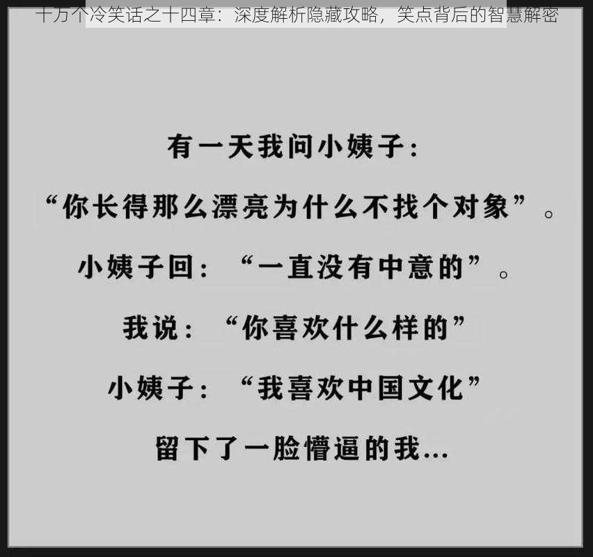 十万个冷笑话之十四章：深度解析隐藏攻略，笑点背后的智慧解密