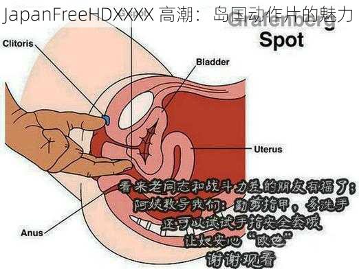 JapanFreeHDXXXX 高潮：岛国动作片的魅力