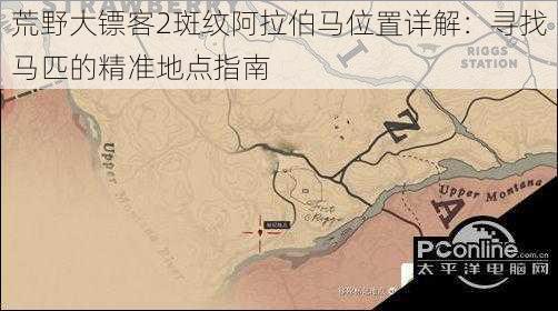 荒野大镖客2斑纹阿拉伯马位置详解：寻找马匹的精准地点指南