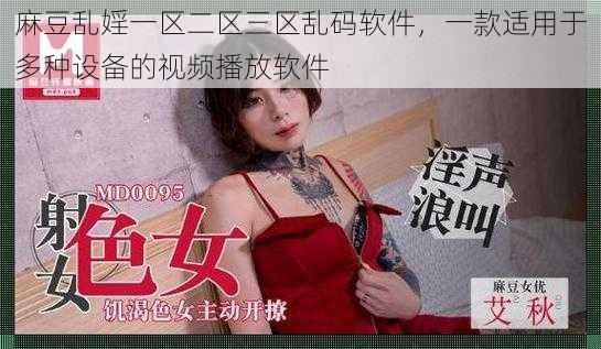 麻豆乱婬一区二区三区乱码软件，一款适用于多种设备的视频播放软件