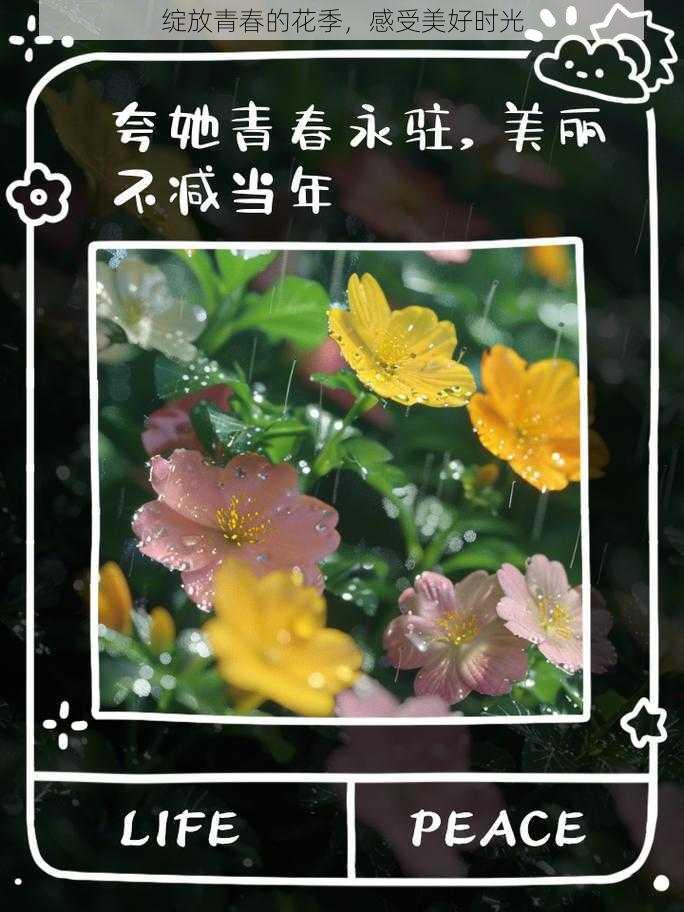 绽放青春的花季，感受美好时光