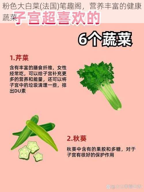 粉色大白菜(法国)笔趣阁，营养丰富的健康蔬菜