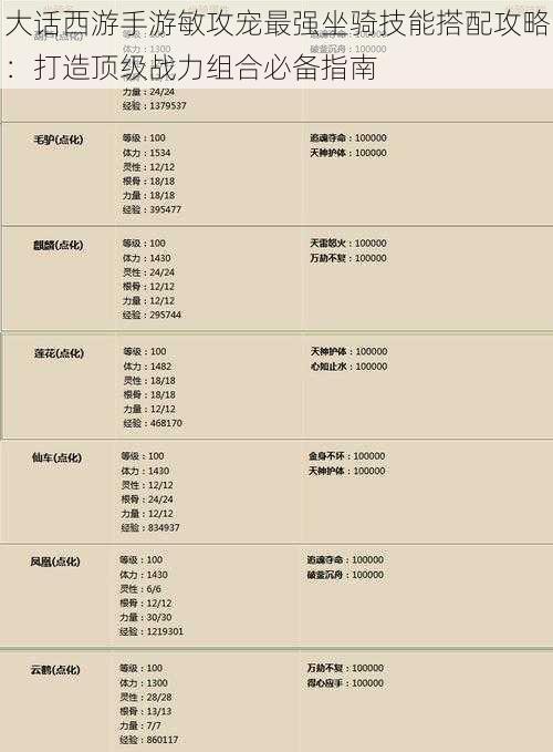 大话西游手游敏攻宠最强坐骑技能搭配攻略：打造顶级战力组合必备指南