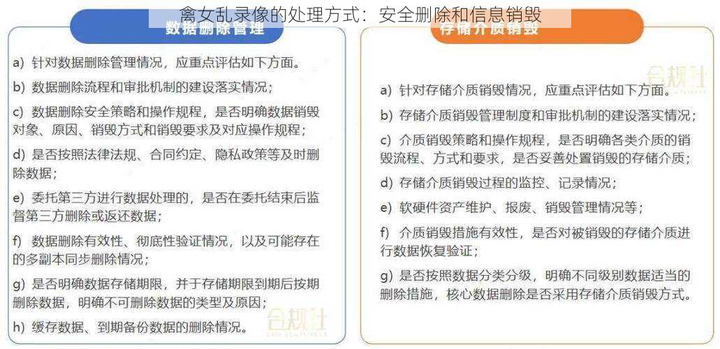 禽女乱录像的处理方式：安全删除和信息销毁