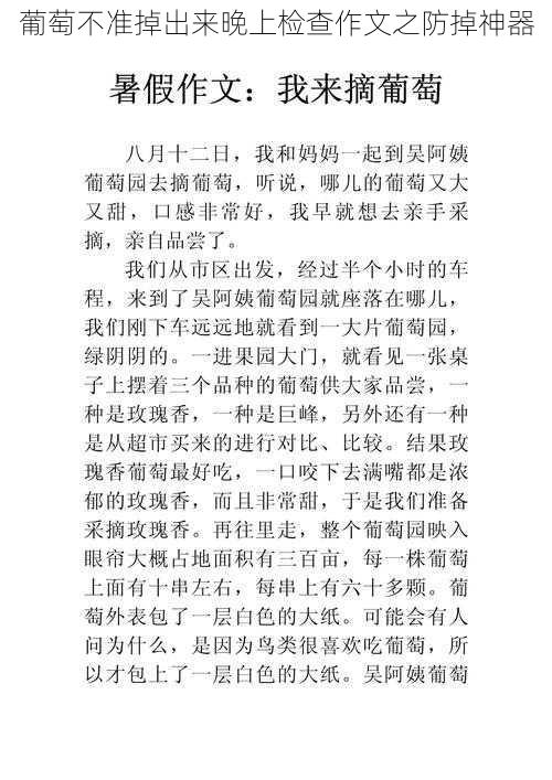 葡萄不准掉出来晚上检查作文之防掉神器