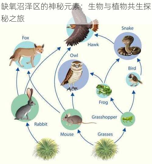 缺氧沼泽区的神秘元素：生物与植物共生探秘之旅