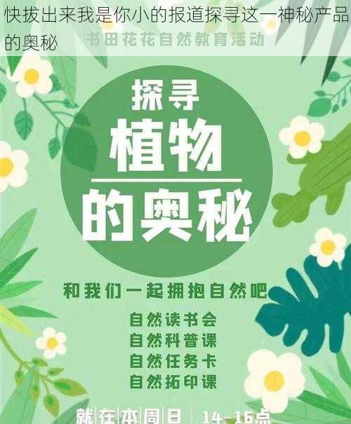 快拔出来我是你小的报道探寻这一神秘产品的奥秘