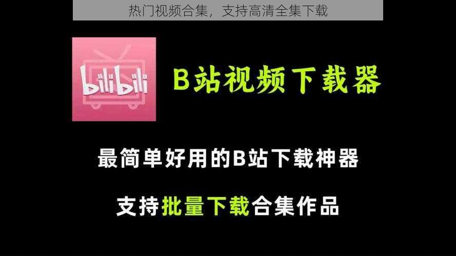 热门视频合集，支持高清全集下载