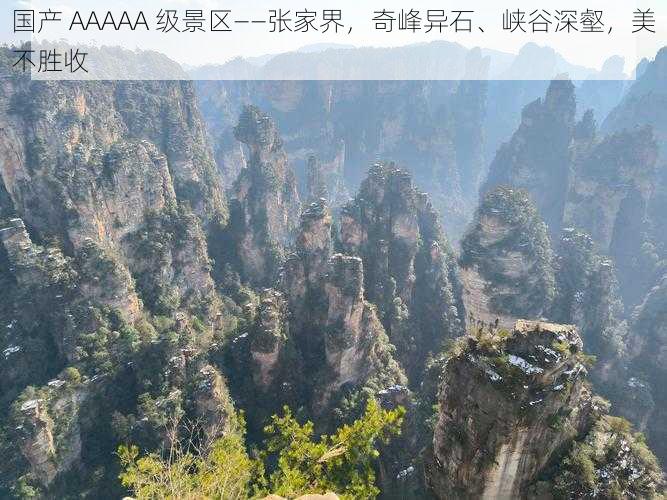 国产 AAAAA 级景区——张家界，奇峰异石、峡谷深壑，美不胜收