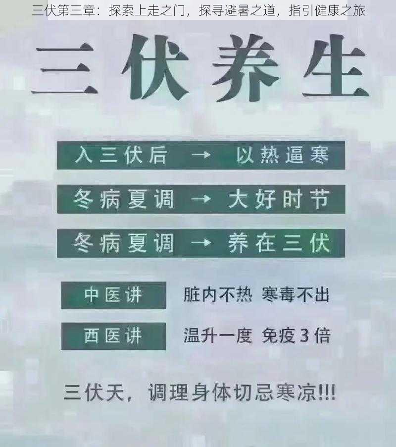 三伏第三章：探索上走之门，探寻避暑之道，指引健康之旅