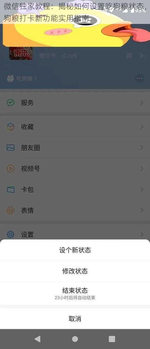 微信独家教程：揭秘如何设置吃狗粮状态，狗粮打卡新功能实用指南