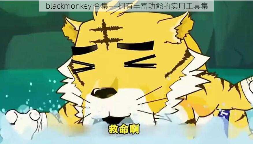 blackmonkey 合集——拥有丰富功能的实用工具集