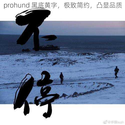 prohund 黑底黄字，极致简约，凸显品质