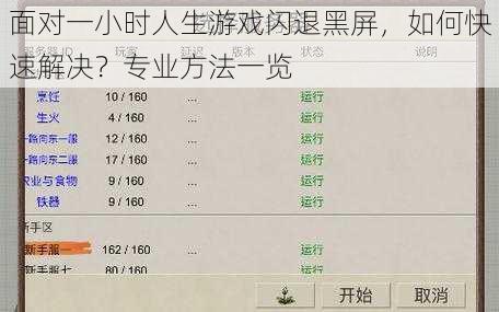 面对一小时人生游戏闪退黑屏，如何快速解决？专业方法一览