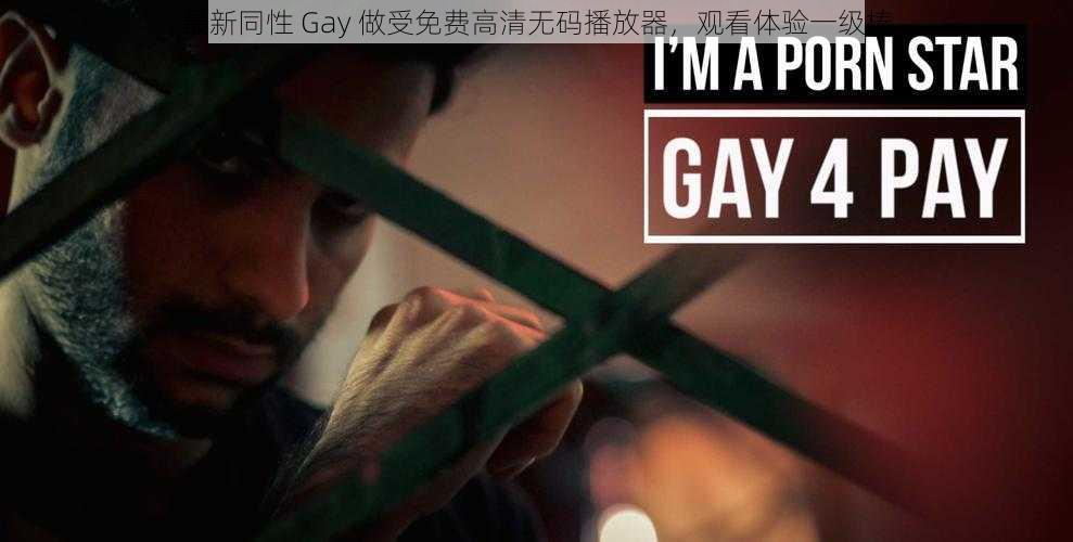 最新同性 Gay 做受免费高清无码播放器，观看体验一级棒