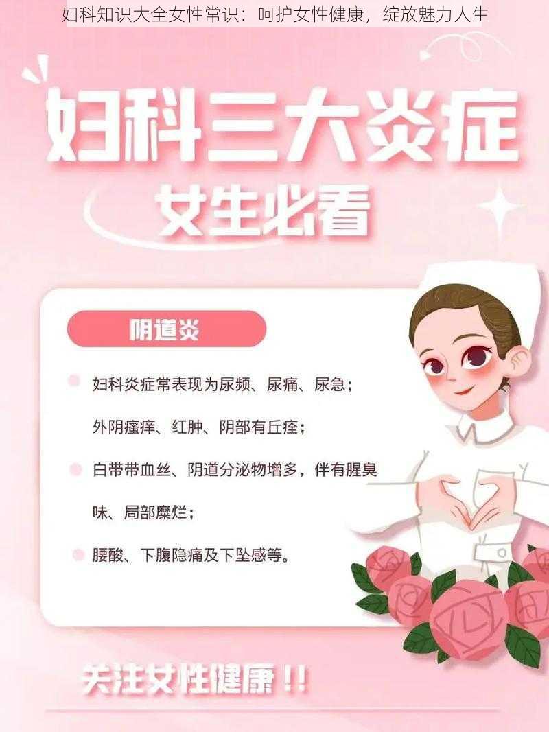 妇科知识大全女性常识：呵护女性健康，绽放魅力人生