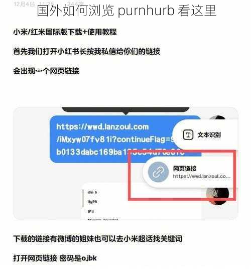 国外如何浏览 purnhurb 看这里