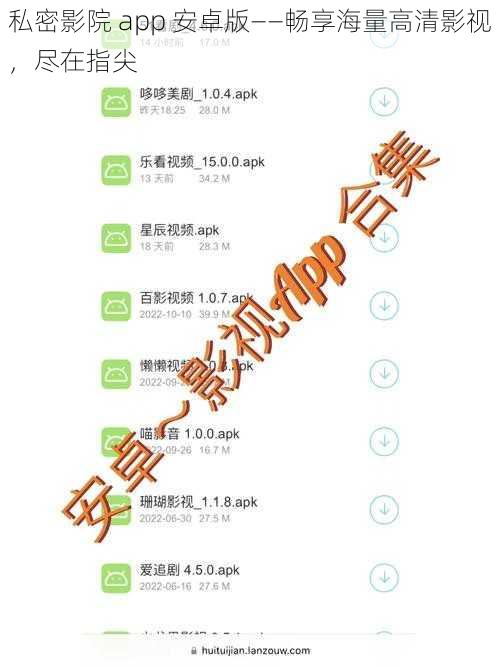 私密影院 app 安卓版——畅享海量高清影视，尽在指尖