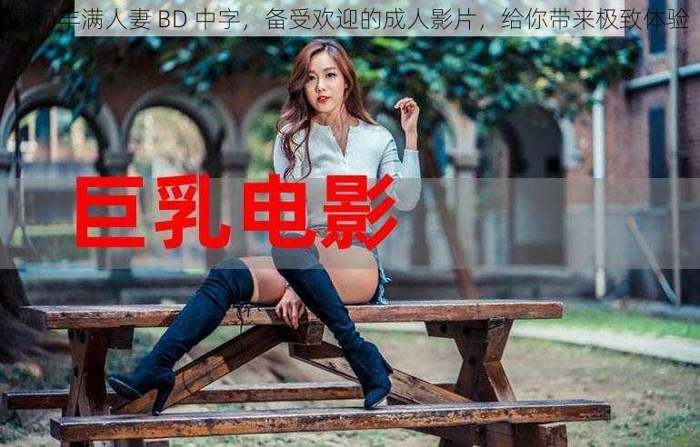 乳奶丰满人妻 BD 中字，备受欢迎的成人影片，给你带来极致体验