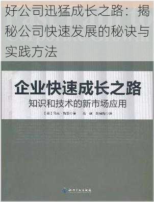 好公司迅猛成长之路：揭秘公司快速发展的秘诀与实践方法