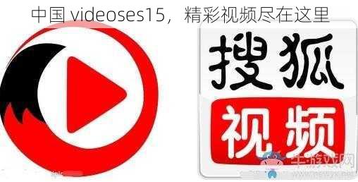 中国 videoses15，精彩视频尽在这里