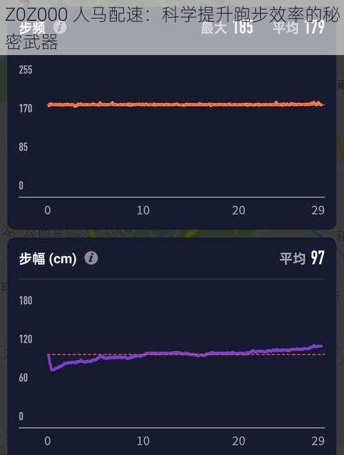 Z0Z000 人马配速：科学提升跑步效率的秘密武器